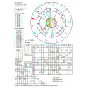 Horoskop tranzytowy - wykres drukowany