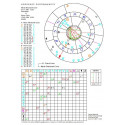 Horoskop porównawczy-wykres+opis elektroniczny