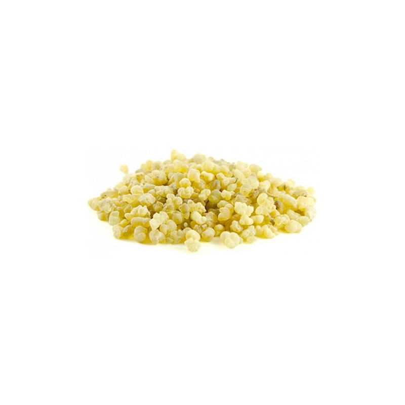 Kadzidło żywiczne Olibanum - Frankincense (50g) Kadzidło żywiczne Olibanum - Frankincense (50g)