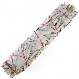 Biała szałwia (pęk 40-50 g) kadzidło oczyszczające (White Sage / SALVIA APIANA)