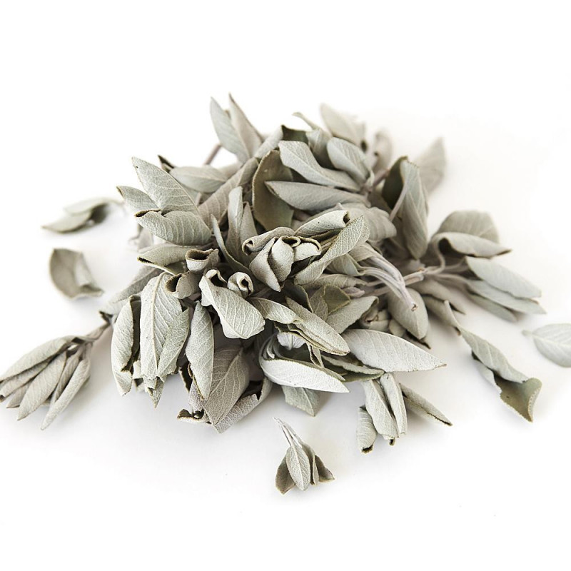 Biała szałwia (susz 50g) White Sage / SALVIA APIANA