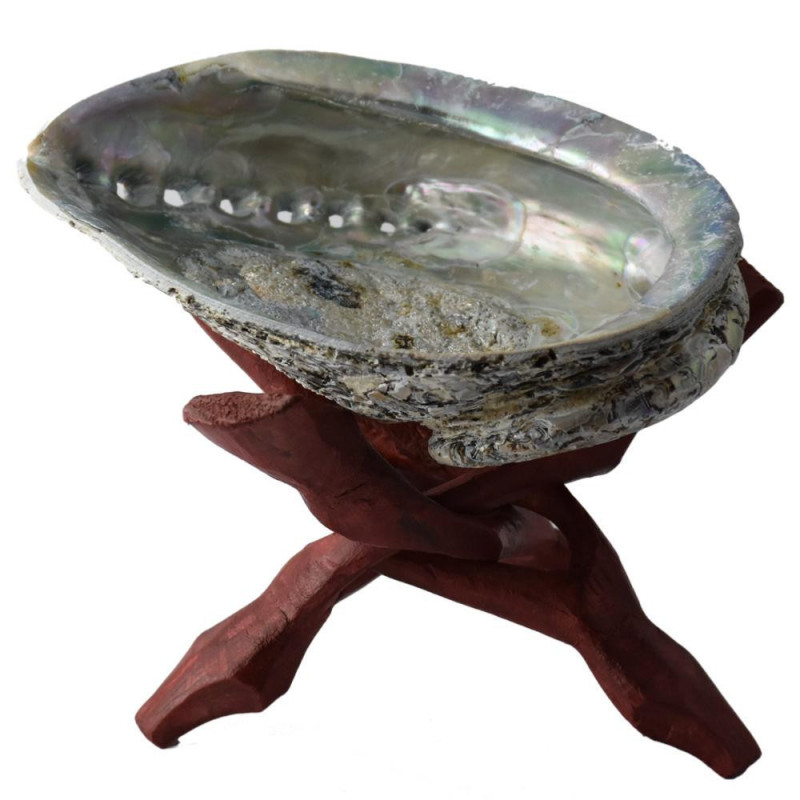 Abalone Shell - muszla (13-16 cm) do palenia kadzideł z drewnianym stojakiem