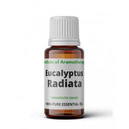 Eukaliptus radiata...