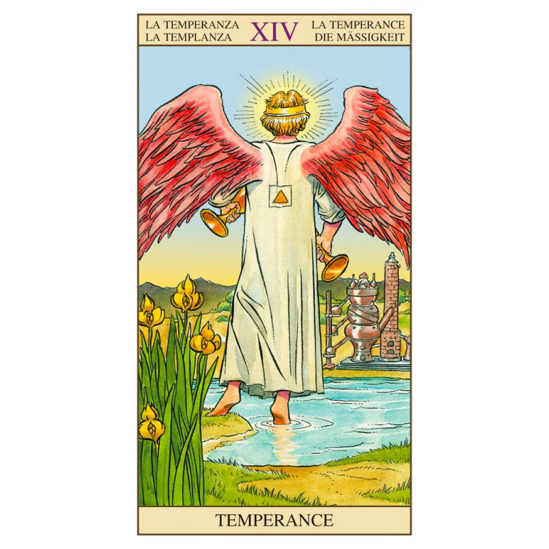 Tarot of the NEW VISION Kit - karty tarota zestaw - Sklep Talizman.pl
