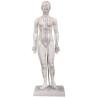 Model Kobiety do Akupunktury (48 cm)
