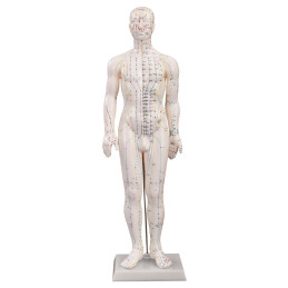 Model Mężczyzny do...