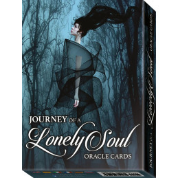 JOURNEY of LONELY SOUL...