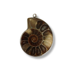 Wisiorek z Amonitu (ok. 3 cm)
