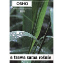 A trawa sama rośnie